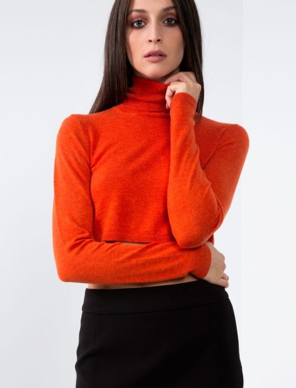 Bcbg KNITWEAR CROPPED TOP - Image 4