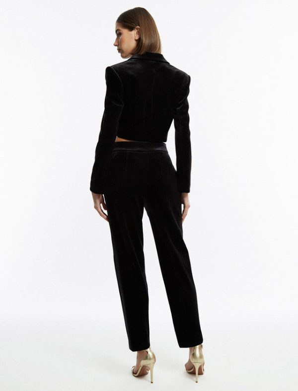 Bcbg Maren Velvet Corset Tuxedo Jacket Black - Image 4